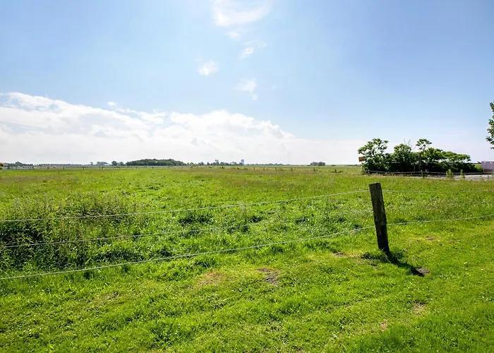 Meyer Westerdeichstrich